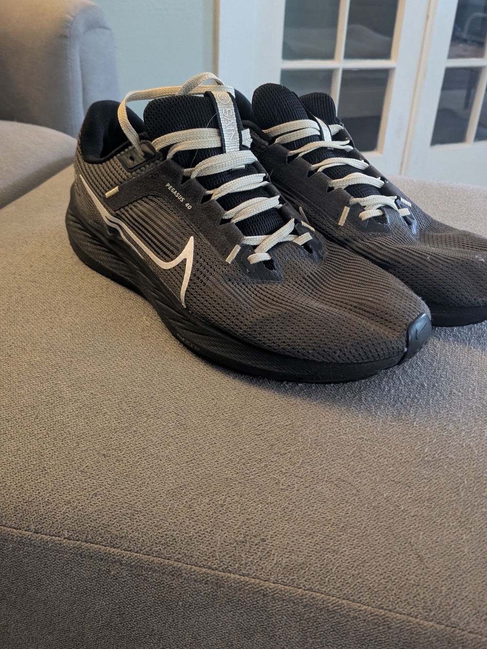 Nike Pegasus 40 Men's Running Shoes - Dark Gray with White Swoosh